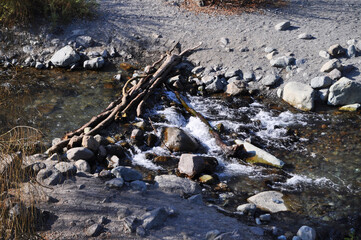 Fallen tree trunk that serves as a bridge to cross the river