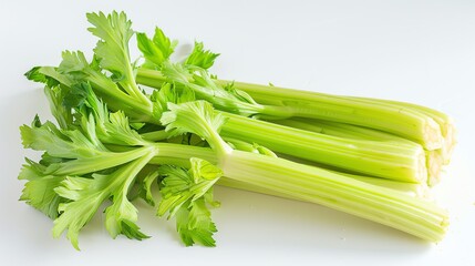Fresh organic celery bunch isolated on white background. Healthy food concept.