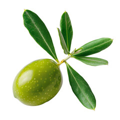 [Transparent Background PNG]Single Green Olive with Leaves