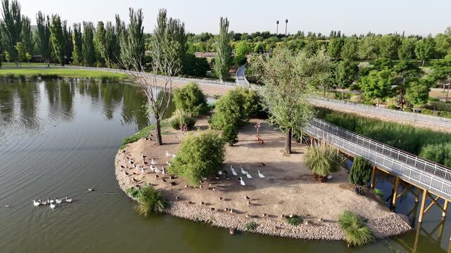 Lago de patos en un parque con &aacute;reas verdes, arboles y vista a&eacute;rea.