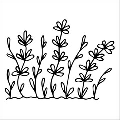 hand drawn wildflowers flower bed, monochrome, black and white