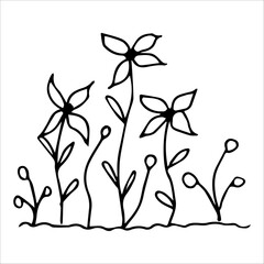 hand drawn wildflowers flower bed, monochrome, black and white