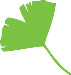 Green Ginkgo Biloba Leaves simple icon.