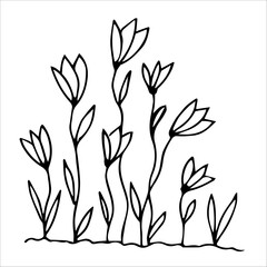 hand drawn wildflowers flower bed, monochrome, black and white
