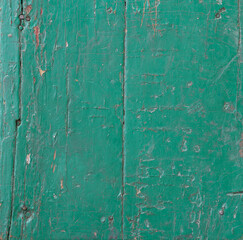 Obraz premium old wooden board background painted with green paint