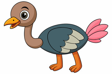Ostrich Bird Vector Illustration