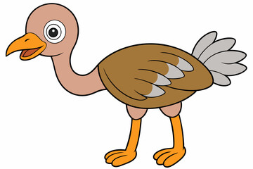Ostrich Bird Vector Illustration