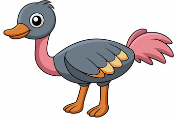 Ostrich Bird Vector Illustration