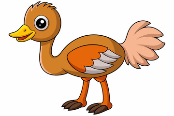 Ostrich Bird Vector Illustration