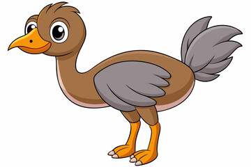 Ostrich Bird Vector Illustration