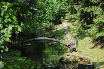 Obraz premium A charming wooden bridge crossing a small stream in a lush green park surrounded by tall trees and dense foliage