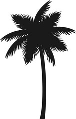 Obraz premium Palm Tree, Graphic Illustration Vector 