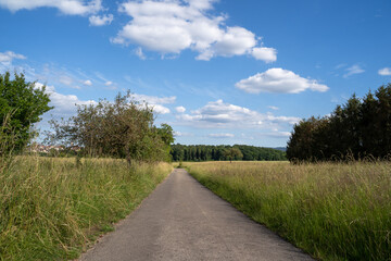 Footpath in the landscape in summer