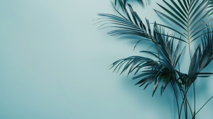 Fototapeta premium Palm Leaf Shadows on Blue Wall