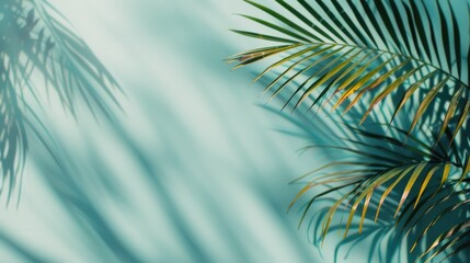 Palm Leaf Shadows on Blue Wall
