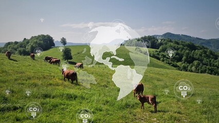 Livestock on big open pasture with CO2 and globe. Global production methane, carbon dioxide and...