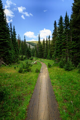 Fototapeta premium A hiking trail in the Indian Peaks Wilderness of Colorado