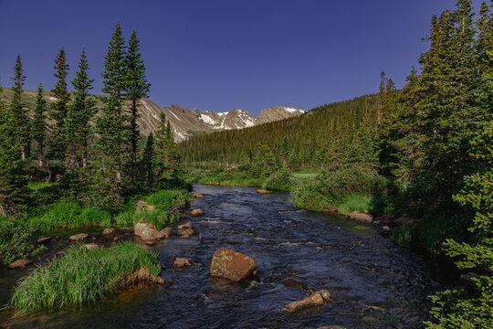 Wilderness Slideshow Background