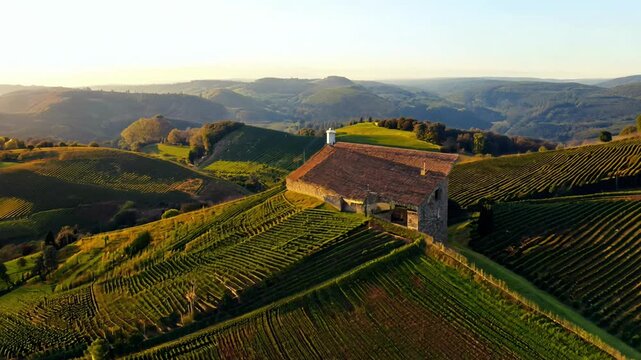 A beautiful countryside with a large house in the middle of it. The house is surrounded by vineyards and the landscape is lush and green. Concept of tranquility and serenity