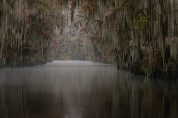 Government Ditch on Caddo Lake in Texas