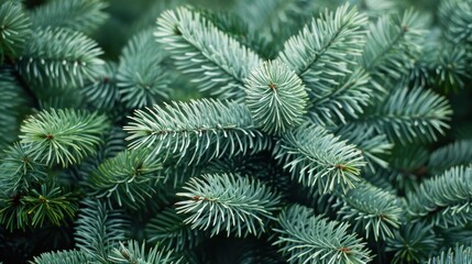A close up of a tree with green leaves