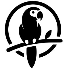 Silhouette of a macaw bird