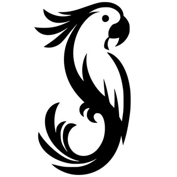 Silhouette of a macaw bird