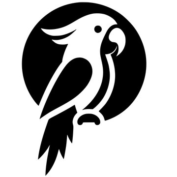 Silhouette of a macaw bird