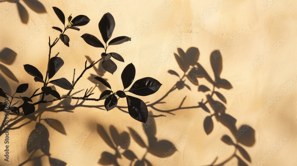 Wall mural Shadow silhouette of floral branches on beige wall