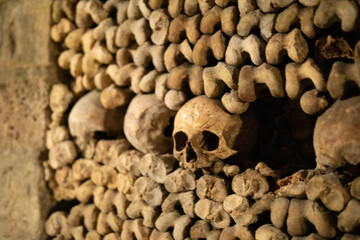 A wall of human bones and skulls in the catacombs of Paris
