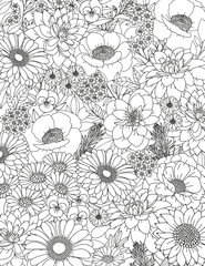 Fototapeta premium Coloring page for adults and children.