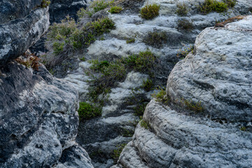 Sonnenaufgang – Blaue Stunde in der Sächsischen Schweiz – Bastei - Elbsandsteingebirge