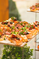 Sandwiches with meat, fish and microgreens.