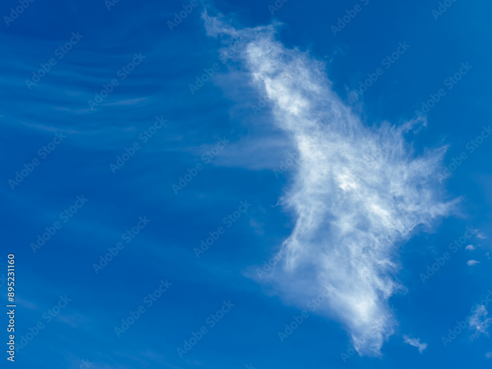 Wall mural guess the cloud in usa tropical summer sunlight. blue sky with cirrus clouds. fluffy layered cirrus 