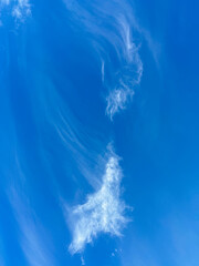 Guess the Cloud in usa Tropical summer sunlight. Blue sky with cirrus clouds. Fluffy layered cirrus clouds sky atmosphere.