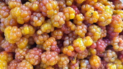 close up of yellow berry, rubus,  fresh cloud berry 