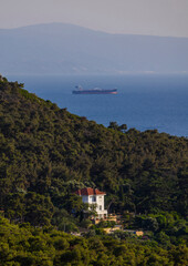 House on a hillside with distant cargo ship. A white house with a red roof sits on a hillside overlooking a blue ocean, with a cargo ship sailing in the distance.