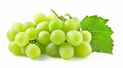 Fresh, green grape with leaves, on white background. Can be easily cut out. Clear and sharp image.