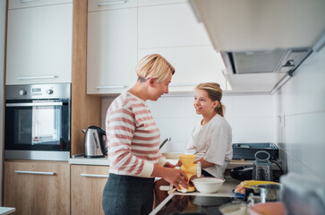 Mother and daughter enjoy warm time together in modern kitchen preparing meal. Daughter smiles warmly as they share this cooking experience. Perfect for illustrating family bonding and domestic life