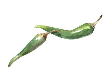 Watercolor set of green chili peppers. Fresh jalopeno illustration isolated on white background. Spicy Mexican food for cafe and menu design