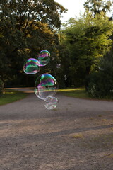 Giant soap bubbles in the park