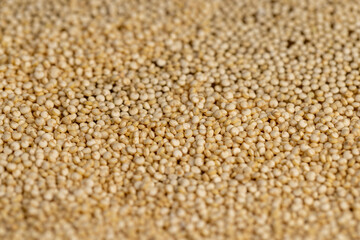 a large amount of quinoa porridge floats in clean water