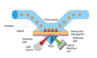 Surface Plasmon Resonance Principle and Instrumentation Vector Illustration on White Background, SPR Technique, Science Graphic.