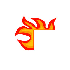 flames logo