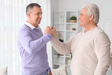 Obraz premium Mature brothers holding hands at home