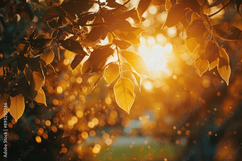 Poster a natural scene with sunlight shining through the leaves of a tree, ideal for use in images about na