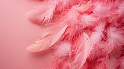 Pink feathered background for beauty themed birthday card Top down view with space for message