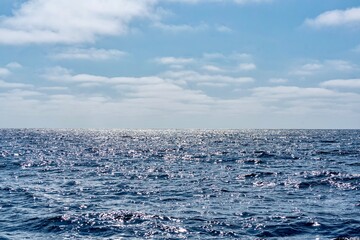 The Top and Dorsal Fin of a Fin Whale Swimming in the Pacific Ocean