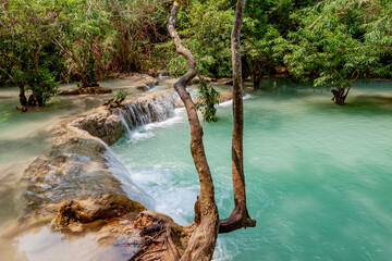 Emerald water pools at Kuang Si Falls, Luang Prabang, Laos