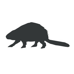 Vector hand drawn beaver silhouette isolated on white background